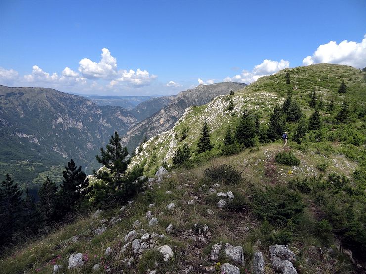 Mt Curevac trail