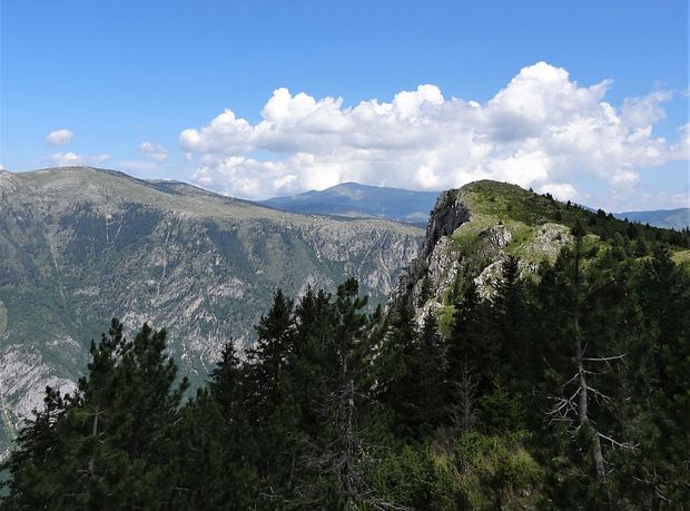 Hiking Mt Curevac to Tara River Canyon viewpoint • Road Tripster