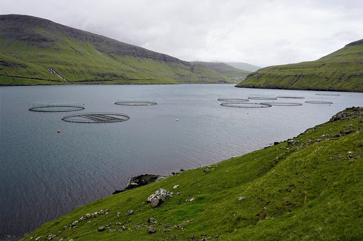 Drangarnir hike, salmon fish farm.