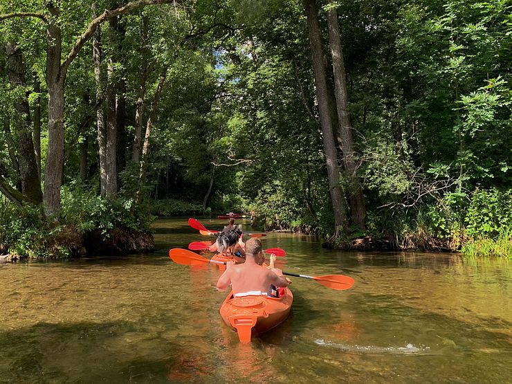 Dog on a kayak on Krutynia river