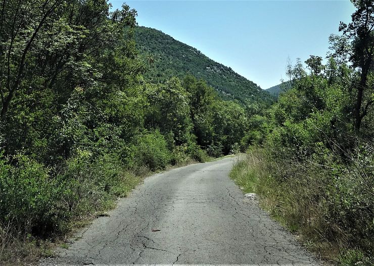Narrow mountain road