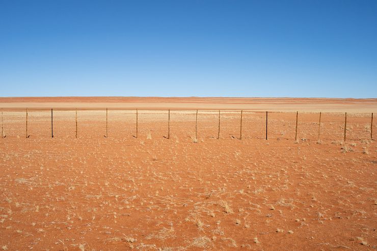The D707 - orange sand, yellow grass and blue sky.