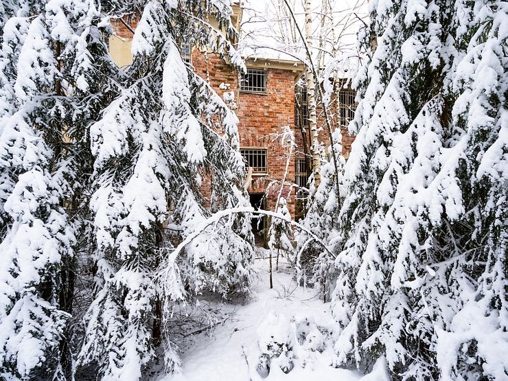 The overgrown yard at Fasta paviljongen