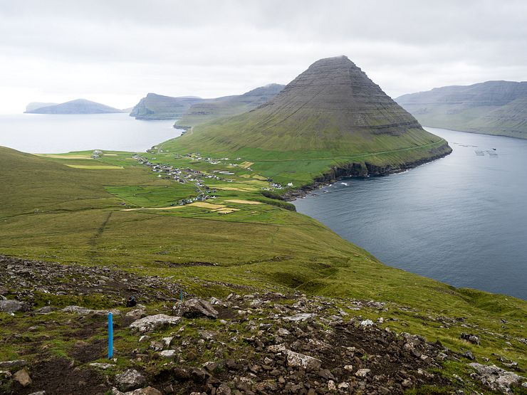 The hiking path is marked with blue plastic tubes