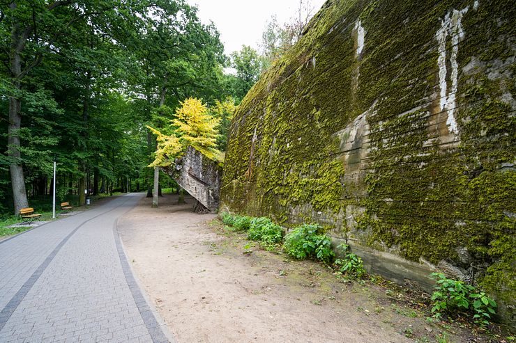 Bormann's bunker at Wolf's Lair